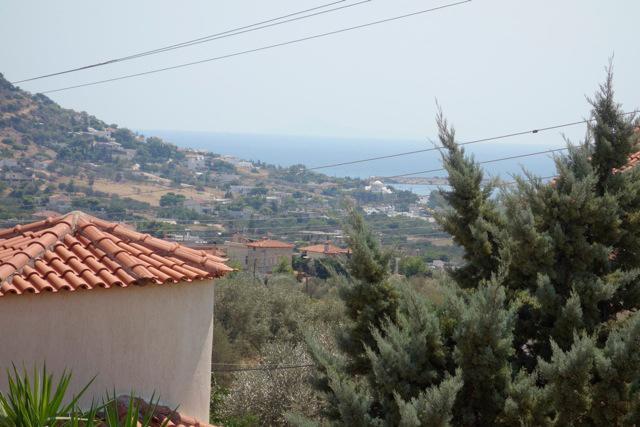 Villa Dendron Agia Marina  Zewnętrze zdjęcie